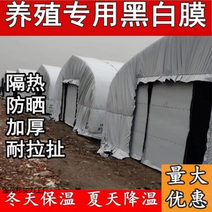 Imported Black and White Film Thickeneded Breeding Greenhouse Black and White Reflective Insulation Film Sunscreen Plastic Cloth Edible Fungus Green and White Film
