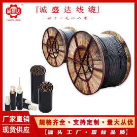 控制电力电缆KVV KVV22 KVVR KVVRP KVVP KVVP2 ZRKVVP22 NH-KVV