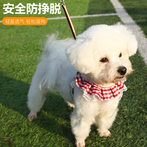 Harness Dog Leash Cat Leash Cat Pomeranian Teddy Leash Wholesale Dog Leash Dog Leash Dog Chain