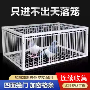 Full-automatic outdoor sky-falling cage hitting the door cage collecting and collecting pigeons encrypted outdoor collecting and flapping only can't get in and out