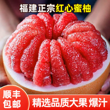 红心蜜柚新鲜孕妇水果福建红肉柚子礼盒整箱顺丰/京东代发多汁