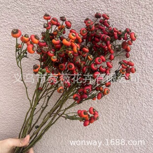 �Nޱ����֦