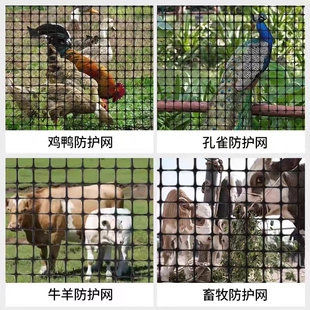 9P1E Plastic Mesh Protection Farming Garden Fence Outdoor Blocking Chicken Net Sub-Circle Corn Dung Leakage Foot Mat Farming Chicken Wai