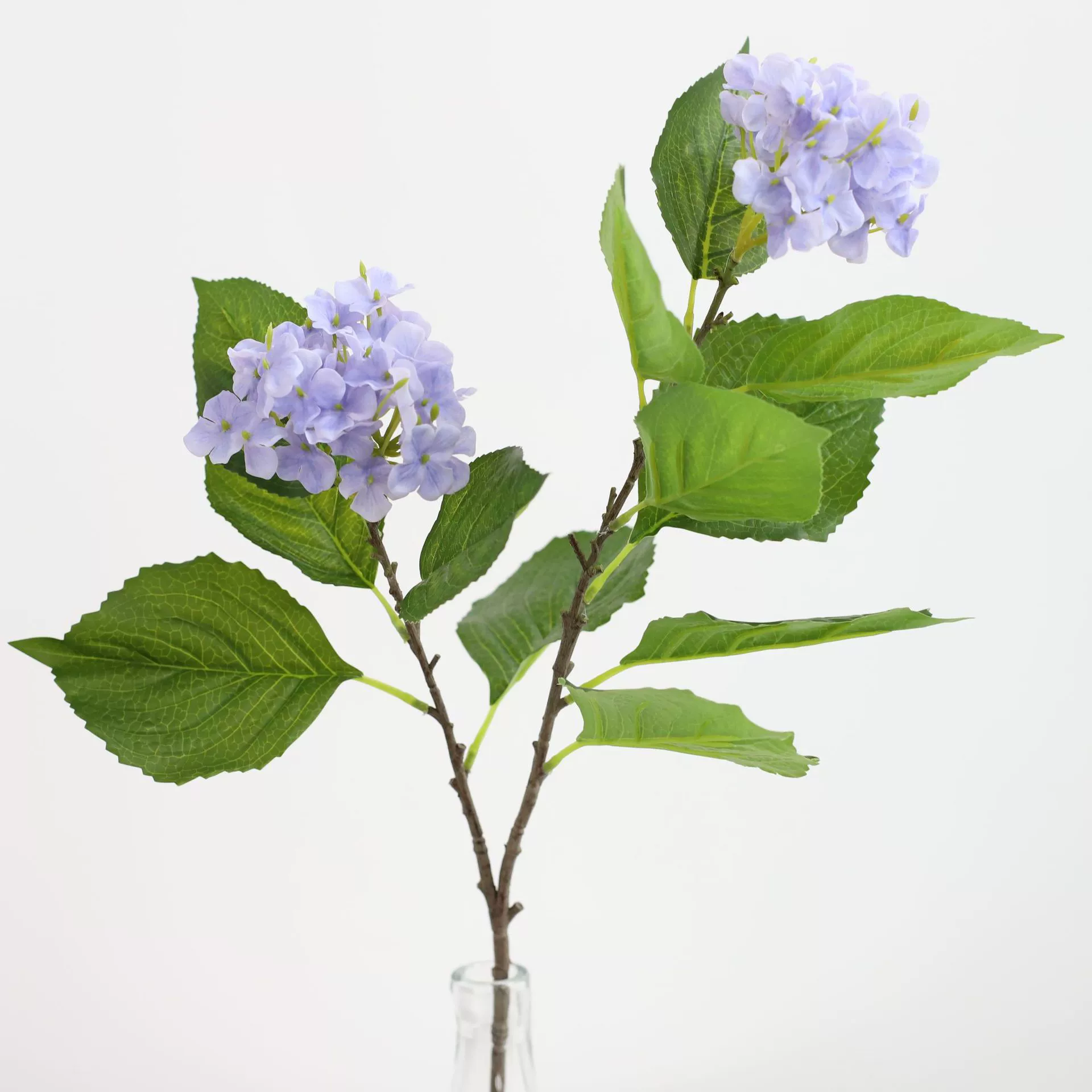 Моделирование 2 головных гортензии, чувствительные цветы, домашние садовые ландшафтные украшения, посадка, посадка, цветочная композиция, гортензия, зеленая посадка