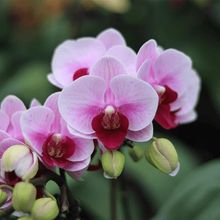 ������������Ʒ�����m�ļ��_�����B���ܾGֲ���Ծ��^�͏d�҃ȳ�Ʒ