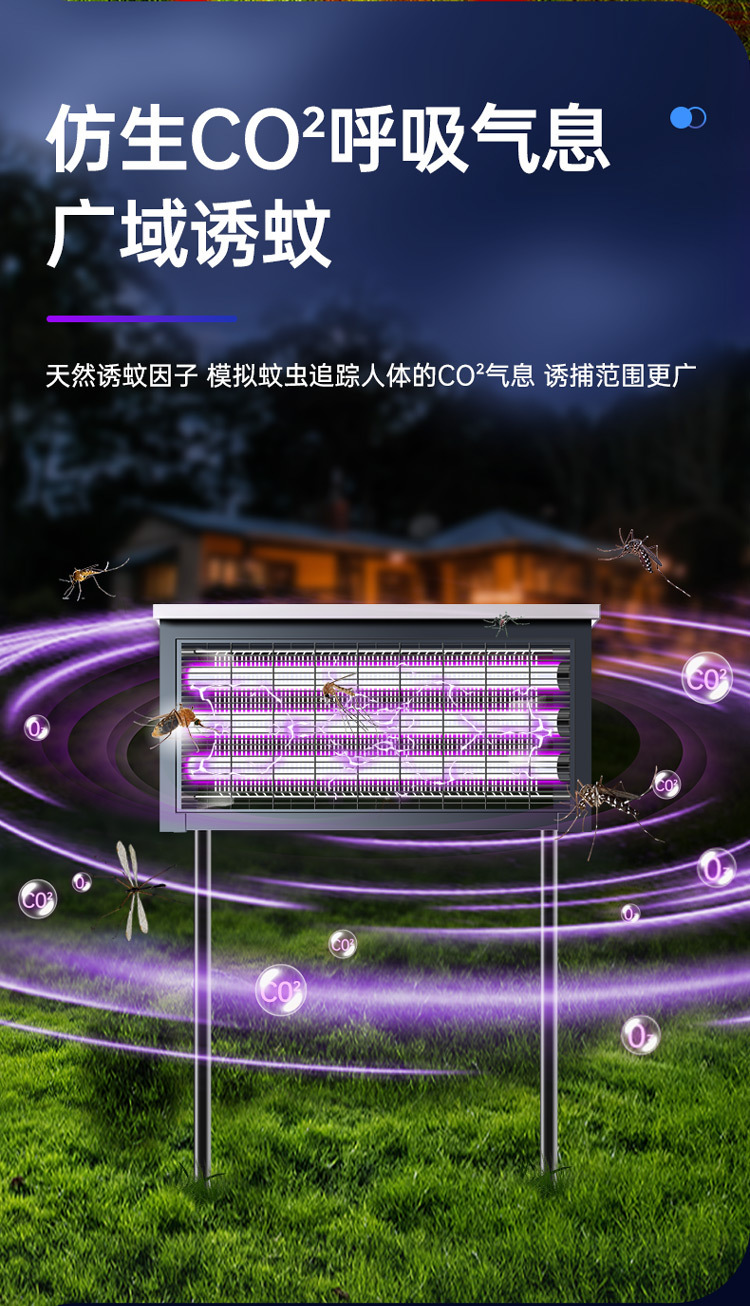 cd7ff955-b696-443b-b119-36147d7b034b.jpe