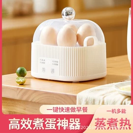 煮蛋器;电火锅;电煮锅