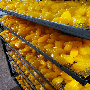 ˮ���t����������20��/�䪚�����b�t���ɵعϸɷ����������ɏS��