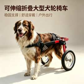 宠物轮椅中大型狗轮椅老年残疾犬辅助代步车狗康复训练轻便可折叠