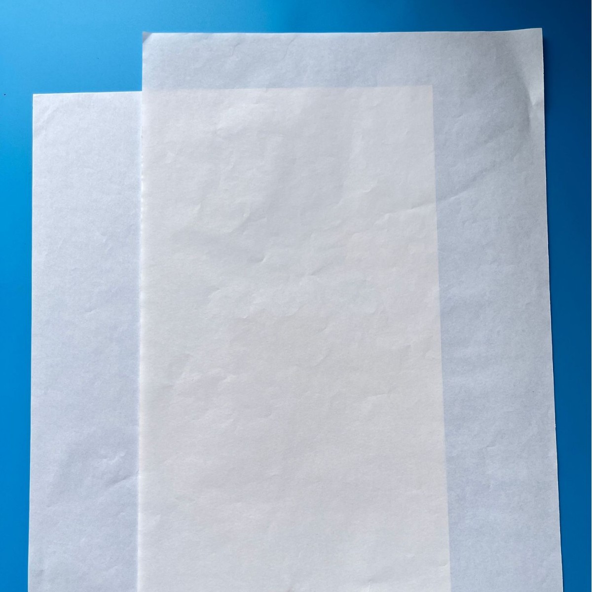 2025-06-04 11:15:19.jpg