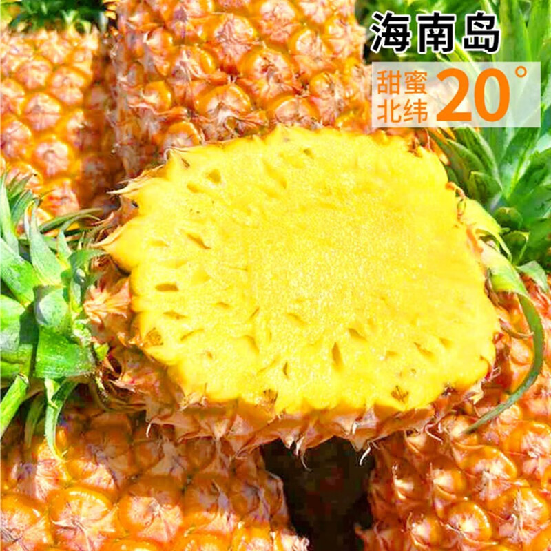 Guangdong Fragrant Pineapple 4.5kg Authentic Fresh Fruit Hand-Torn Fragrant Pineapple Large Fruit Eyeless Crisp Sweet Seasonal Specialty Guangdong Fragrant Pineapple 4.5kg Authentic Fresh Fruit Hand-Torn Fragrant Pineapple Large Fruit Eyeless Crisp Sweet Seasonal Specialty
