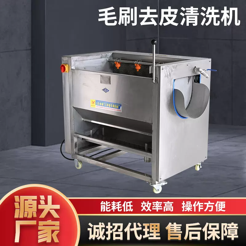 全自动土豆毛辊去皮清洗机红薯清洗设备橙子去皮机毛刷去皮清洗机