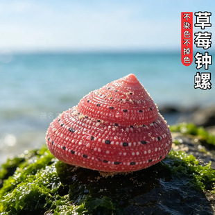 ��ݮ�R����Ȼϡ�к���ؐ���˱��ղ��~���쾰��ؐ�~С����з΢���^