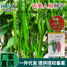 长美人椒种子一年四季种红尖椒长辣椒种家庭菜园盆栽蔬菜种子