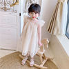 Summer children's dress, lace small princess costume, children's clothing, with embroidery