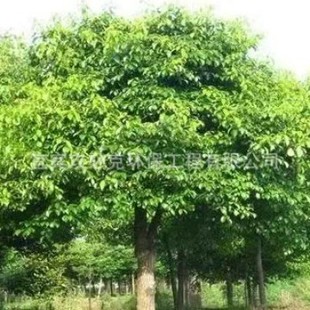 ���U�������ΰ������f�����؈@�־G������������ľ���l���^�乤�S