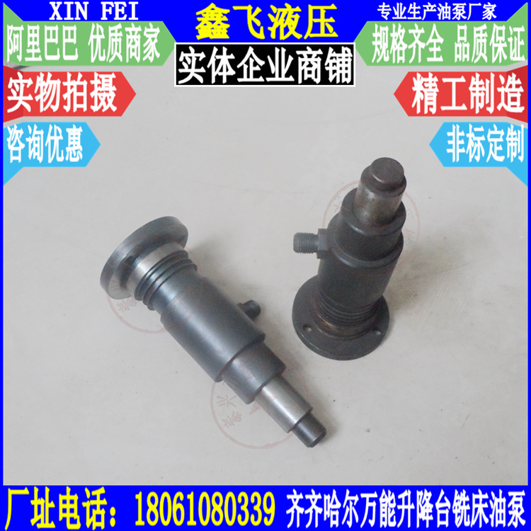 X5032A X6030 X6132A万能升降台铣床柱塞泵 润滑油泵 齐齐哈尔