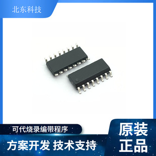 ��о��� N9300-SOP16  MP3��aоƬ