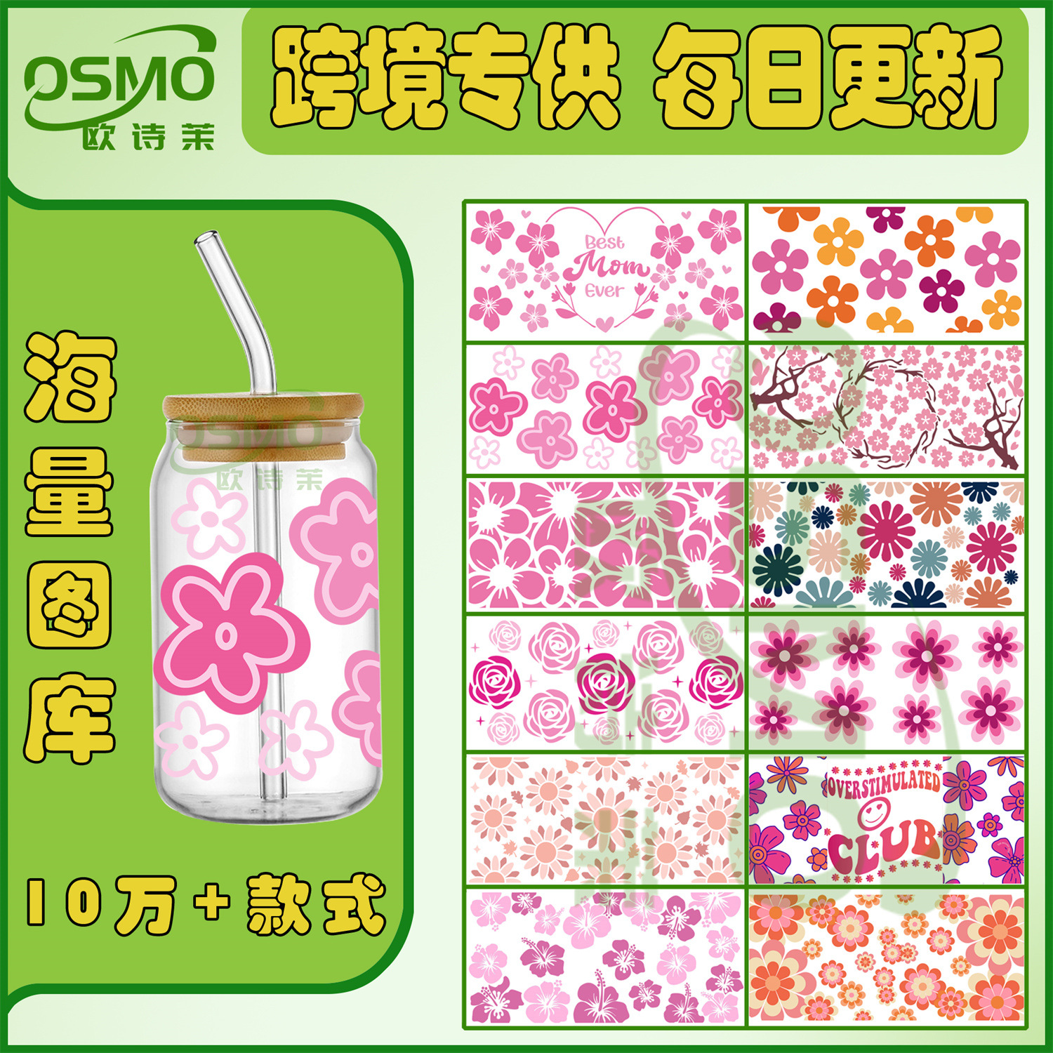 花草11