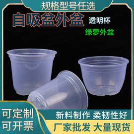 吸水绿萝外盆盆懒人盆外套免浇水花盆透明杯储水盆塑料绿植自吸水