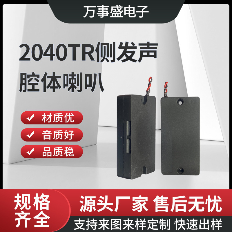 Manufacturer Side Outlet Sound Ws-2040 Cavity Speaker 4 Ohm 3 Watt Face Access Control Smart Home Sound Speaker