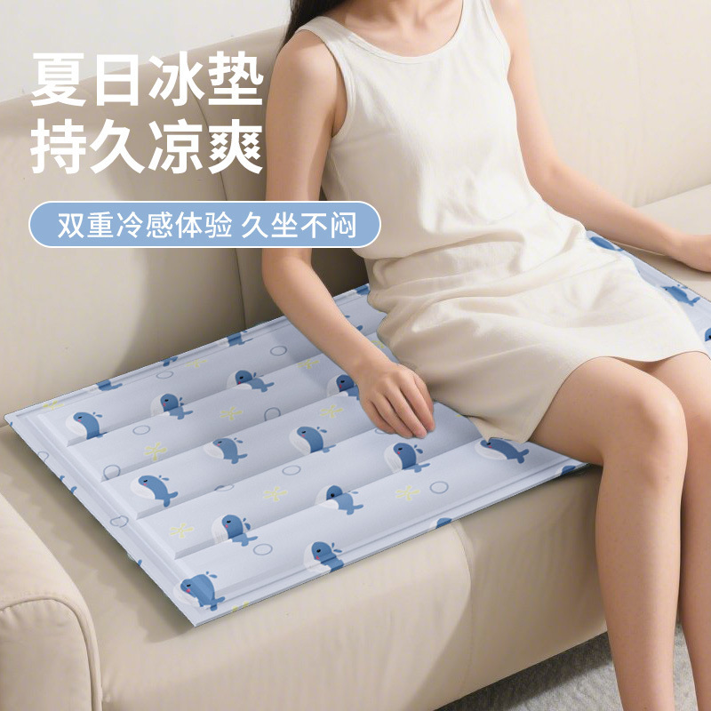 Ice Pad Mattress Gel Water-Free Cooling Cushion Student Summer Single Cooling Dormitory Summer Artifact Sofa Cushion