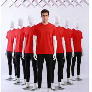 ���������t���мtɫ�����R�����Ԫ����������·�����T�����