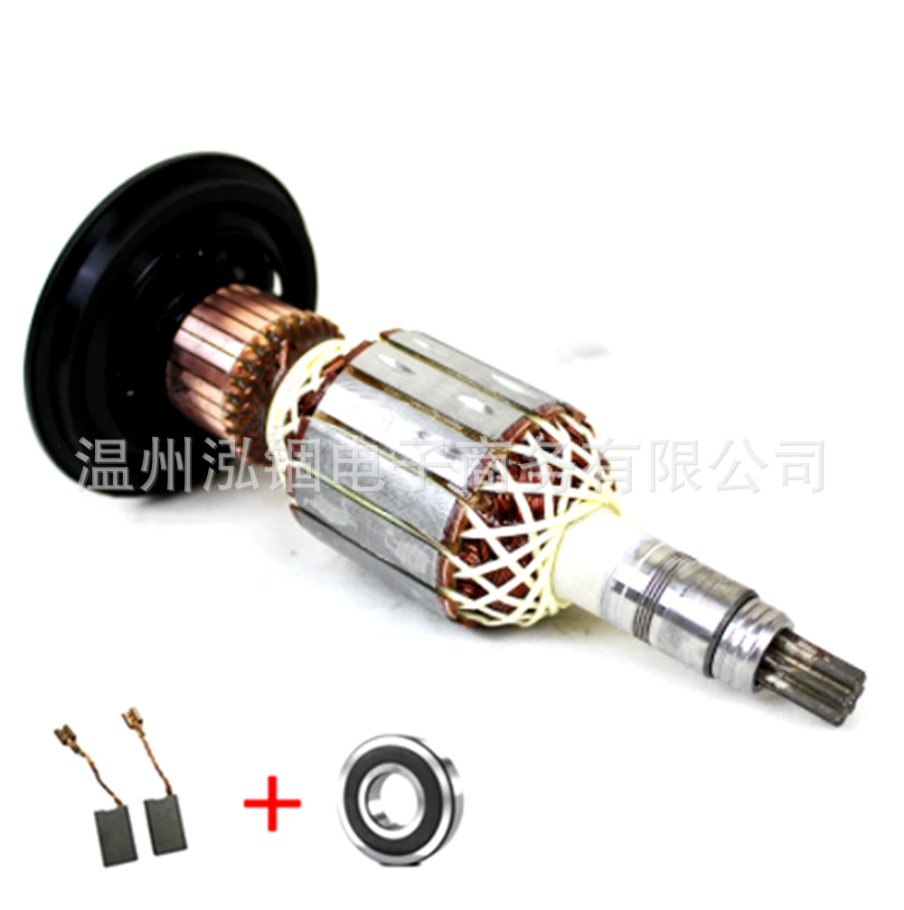 Rotor + cepillo de carbono + cojinete