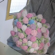 ��u׃�L�q�켏����̺����̺���������h���u׃���⾀
