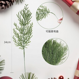 �����}�Q���~���֦ ����Gֲ�}�Q��DIY�b�����Gֲ�ɘ��~���R�d