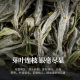 2024 First Grade White Peony Fuding White Tea Alpine Floral Fragrance Fresh Fragrance Sweet Source Wholesale Spring Tea Snow Tea
