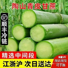 ������նY��|��S|ĥ�� ��ɽ���� �F؛��Ƥ�GƤ����ˮ������5��