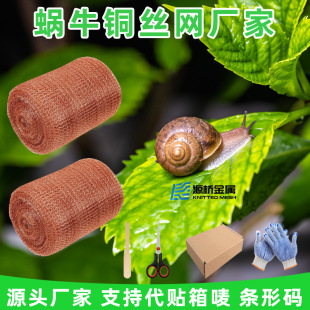 �羳΁ţ�~�W늴���̖���ξW���������~�z�Wᄾ����s��Һ�^�V�W