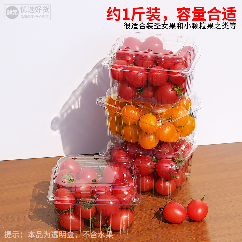 一次性带盖底部带孔圣女果包装盒透气沥水水果塑料打包盒塑料盒
