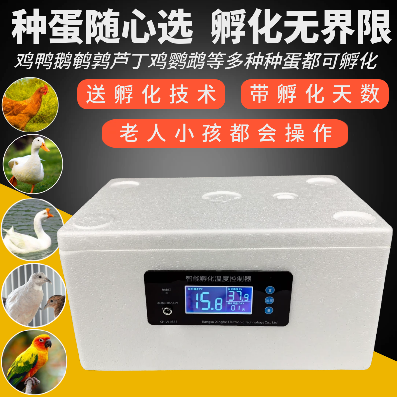 kt智能水床孵化器孵蛋器家用小型鸭鹅小鸡全自动恒温孵化箱孵化机