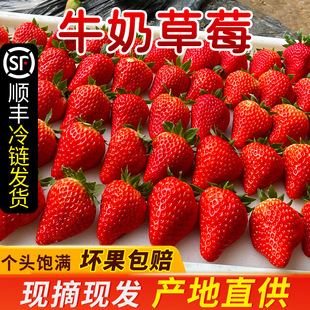 ���|�žŲ�ݮ���r����ˮ����ݮ�^��t�ݮ���Ǻ��J�����b�ˮ��