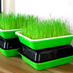 もやし苗トレイもやし発芽ポット無土栽培水耕野菜植栽ボックス断熱暗号化トレイ卸売