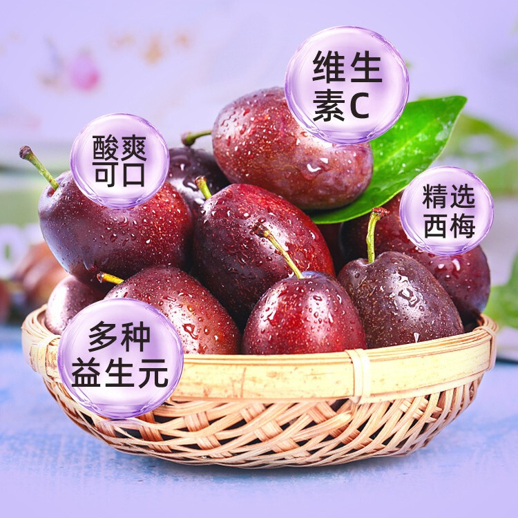 プルーン食物繊維ゼリー プレバイオティック酵素 白インゲン豆 フルーティゼリー 食物繊維ミールの必需品|undefined