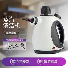 高温高压蒸汽清洁机家用小型多功能厨房去油污油烟机清洗机