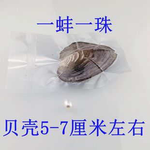 001������������Сؐ ��հ��b����С�Ӱ� һ��һ�����QСؐ