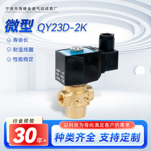 ��ͨ���QY23D�S�~��ˮ΢��늴��y 6��304ˮ�yDC24V�ߜ�DC12V220