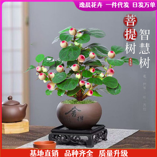 С�������҃ȾGֲ�����������ʽ�U������[�������B�Gֲ�辰