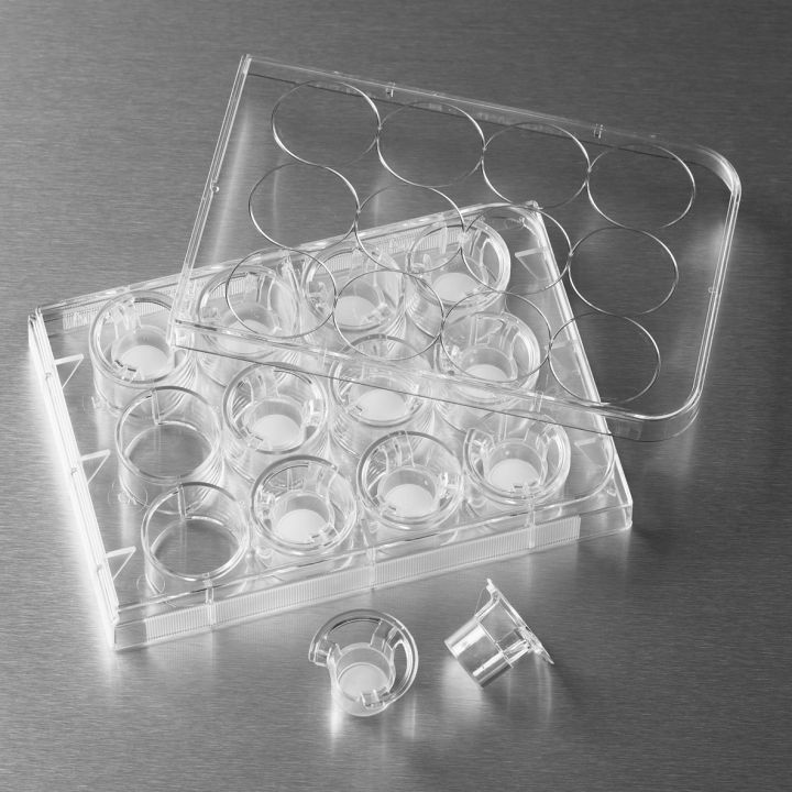 康宁Corning3421Transwell嵌套含24孔板(PC膜6.5mm5.0um孔径)灭菌