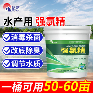 ��Ƭ���Ⱦ���Ӿ���~������������Ƭ��ζ�������Ȯ�������ˮ�a�Bֳ