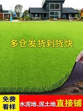 ��ƺ��̺����ͥԺ�ٲ�ƺ����ꖹⷿ����픸����ƺ�����ƺ�|