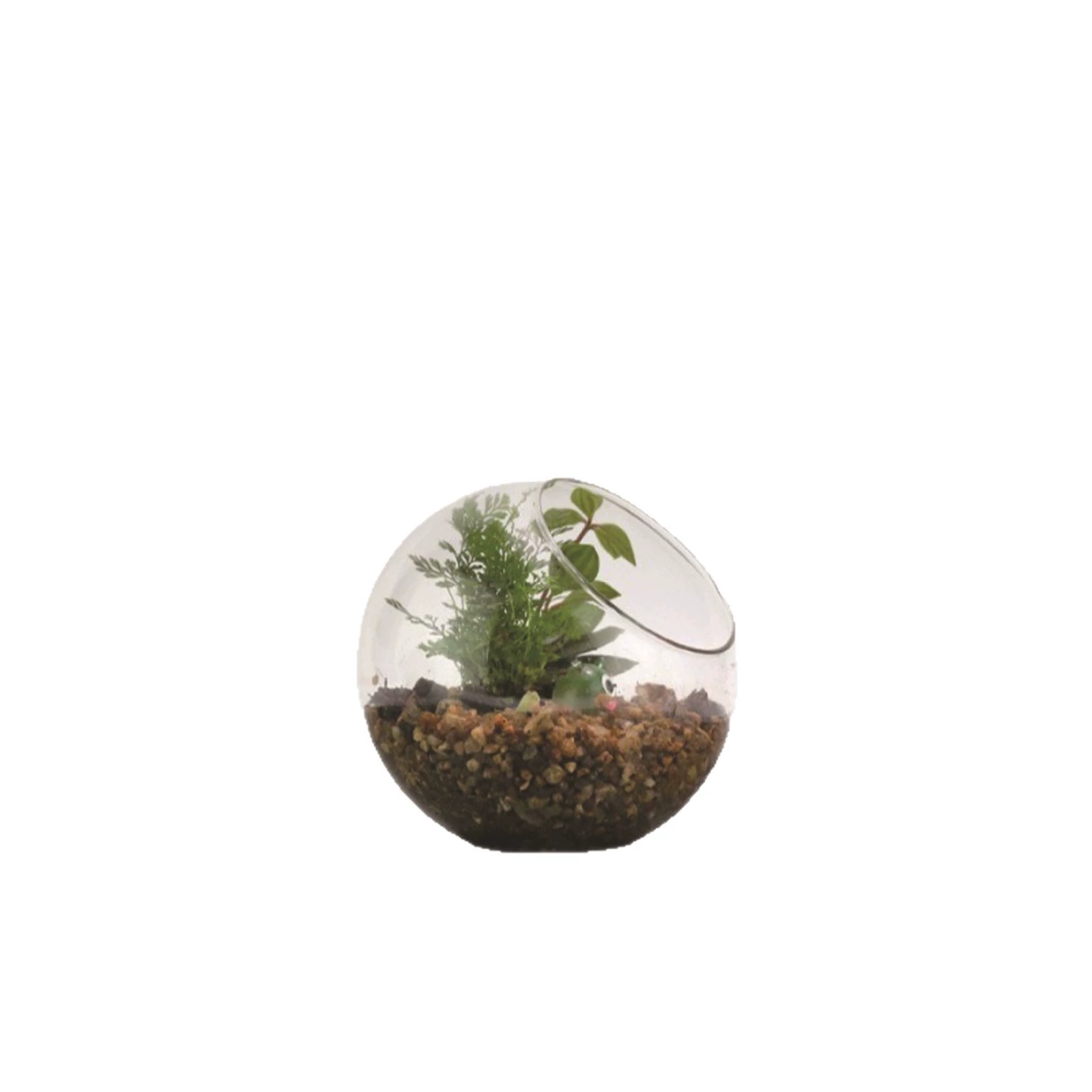 Креативный микроландшафтный сосуд для растений с наклоненным ртом стеклянная ваза мох экологическая бутылка настольные аксессуары из боросиликатного стекла высокой чистоты домашний декор