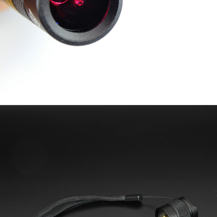 365 UV lamp flashlight outdoor night search ore banknote detection cat moss fluorescent agent detection lamp manufacturers