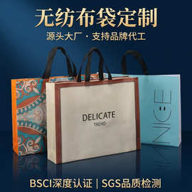 加厚无纺布外卖手提袋子批发定制跨境亚马逊购物服装覆膜无纺布袋
