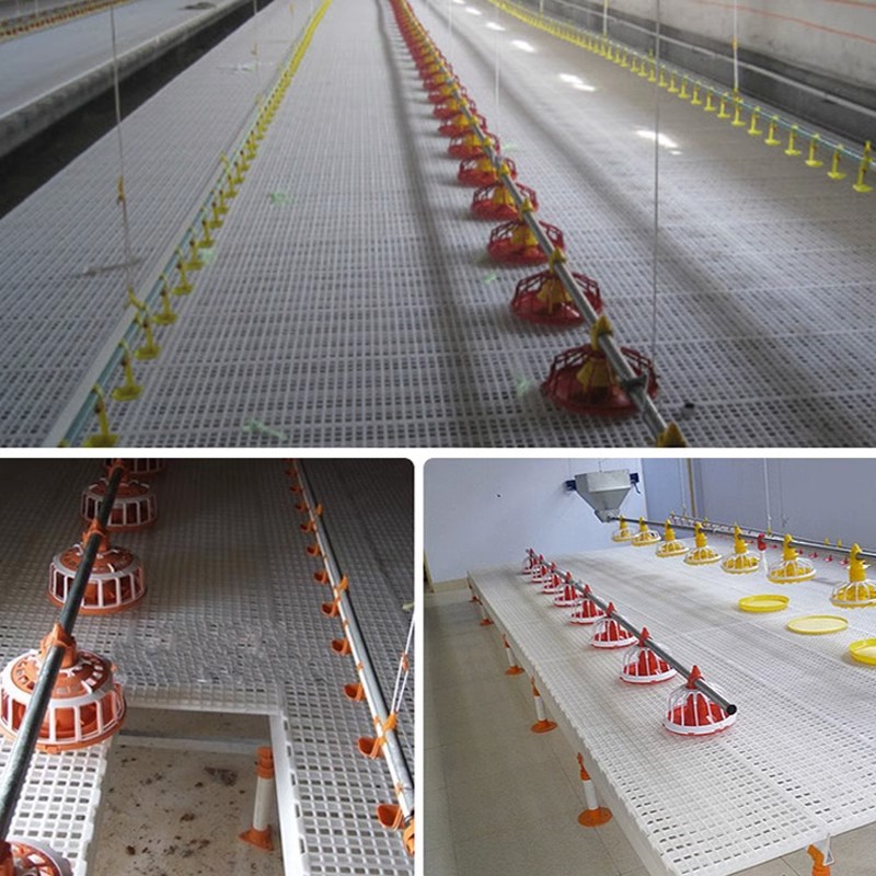 Tablero de fuga de estiércol de pollo cartón de aves de plástico espesado fuga red tablero de pollo pato ganso pollo casa pollo criando rejilla estiércol tablero de recepción