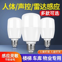 红外线雷达人体声控感应灯led灯泡楼梯楼道家用物业走廊过道灯